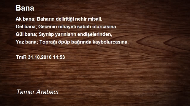 Tamer Arabacı