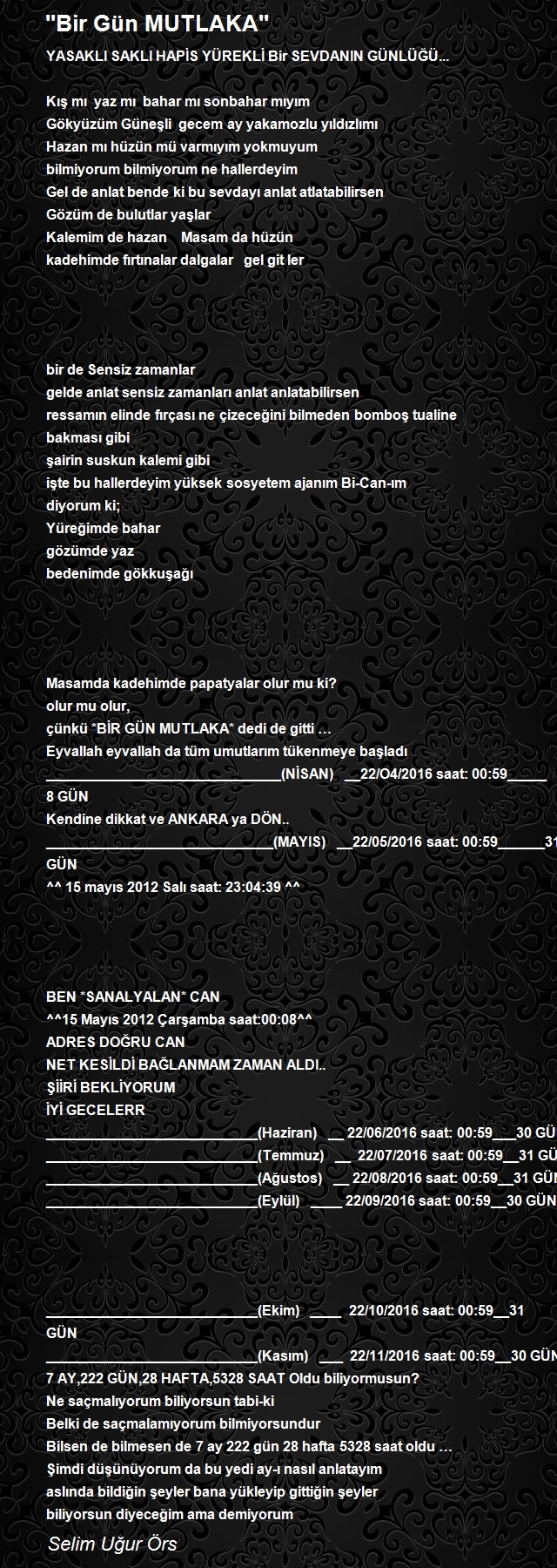 Selim Uğur Örs