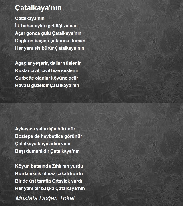 Mustafa Doğan Tokat