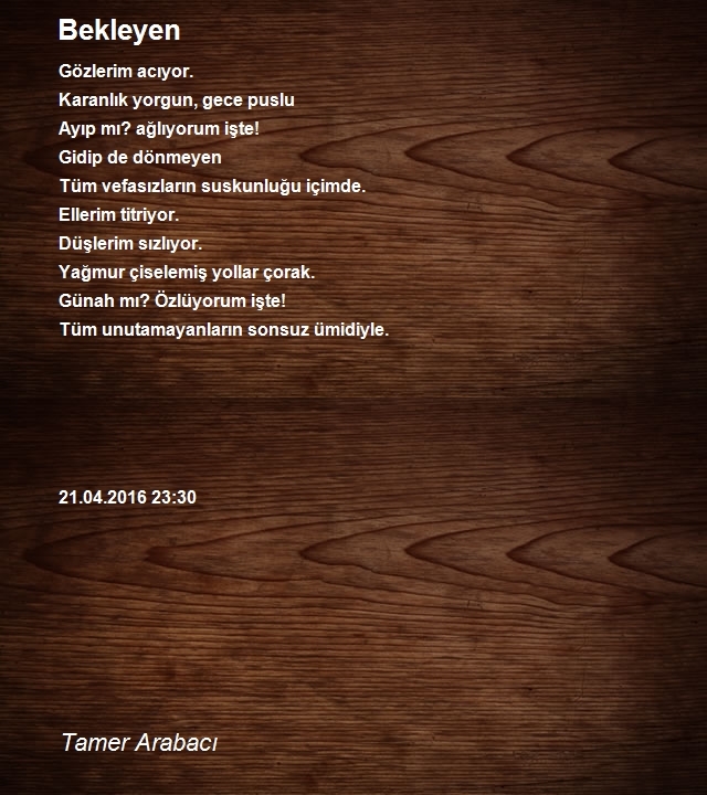 Tamer Arabacı