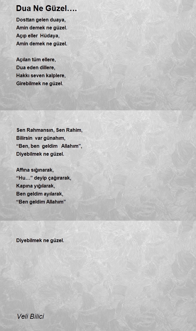 Veli Bilici