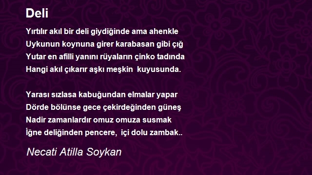 Necati Atilla Soykan