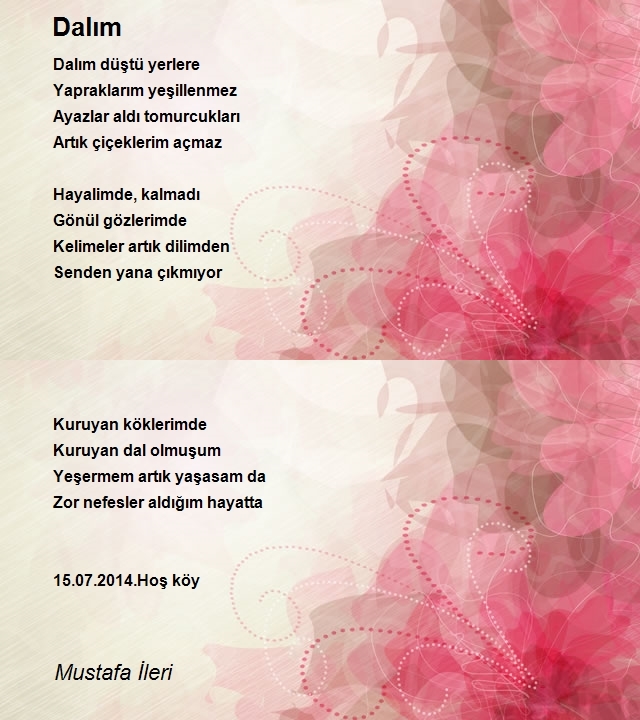 Mustafa İleri