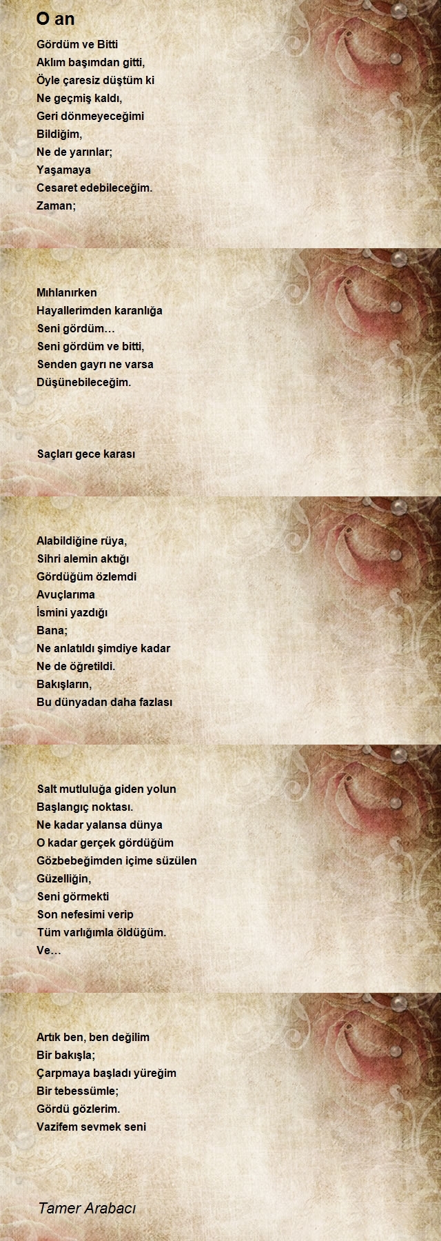 Tamer Arabacı