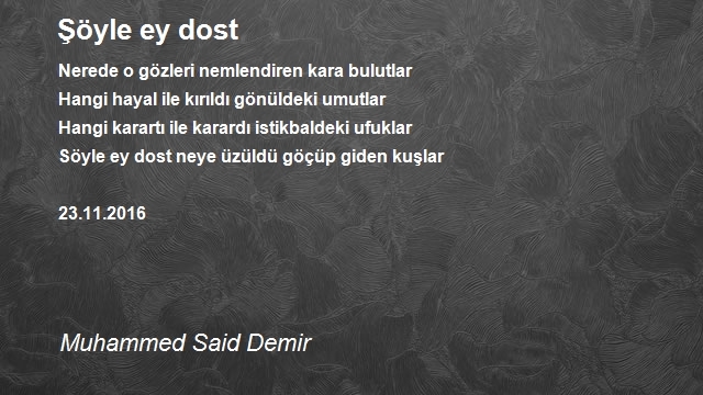 Muhammed Said Demir