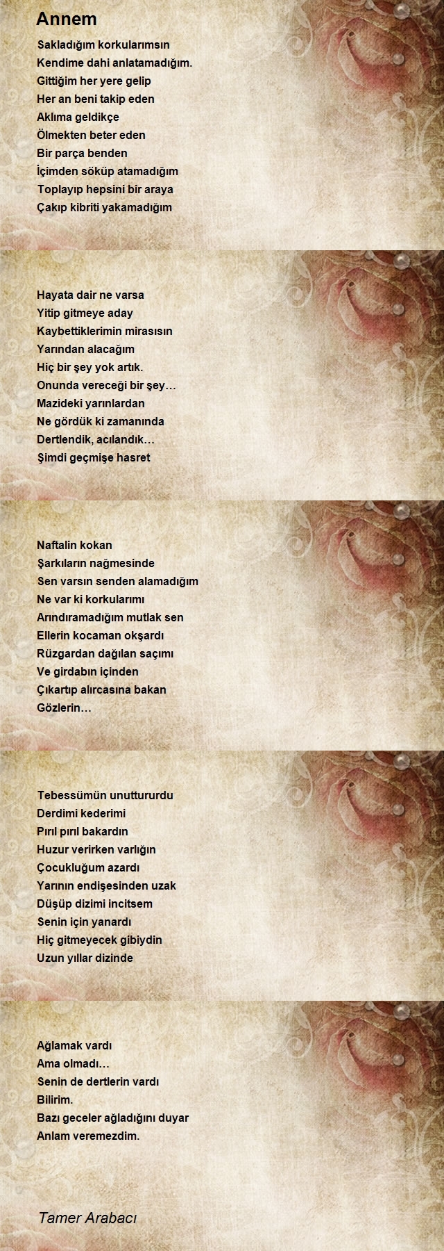 Tamer Arabacı