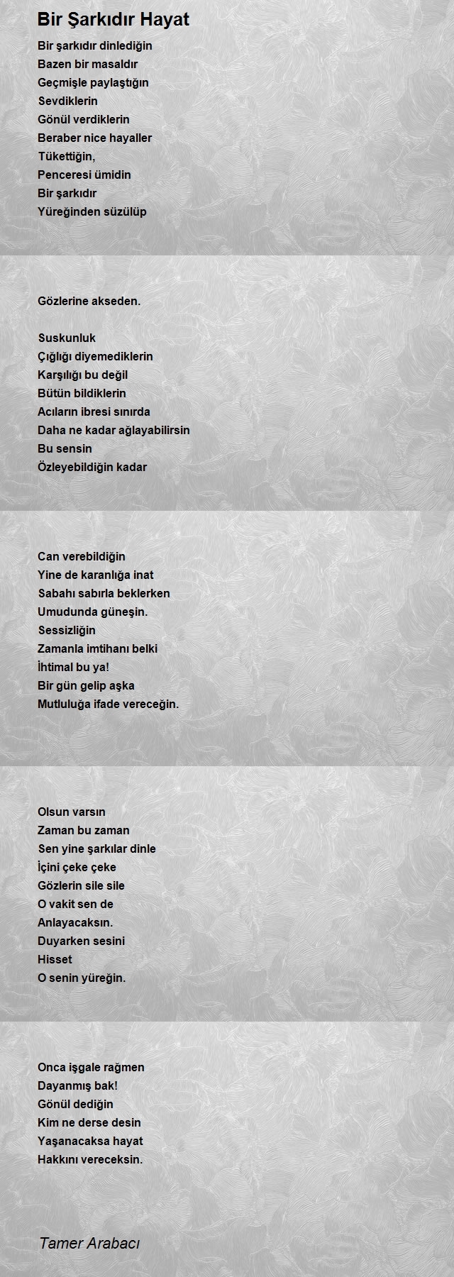 Tamer Arabacı