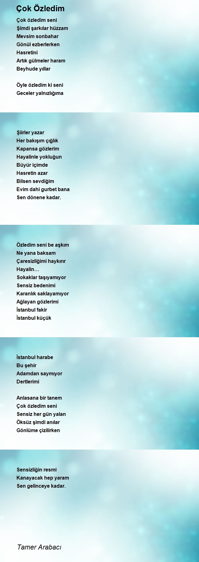 Tamer Arabacı