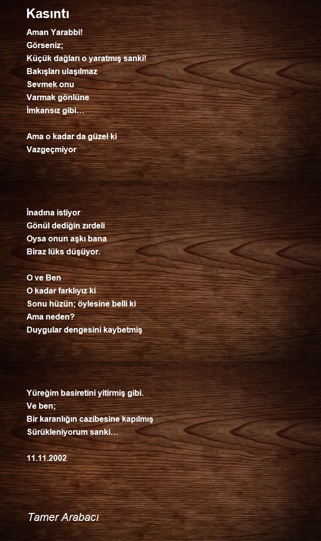 Tamer Arabacı