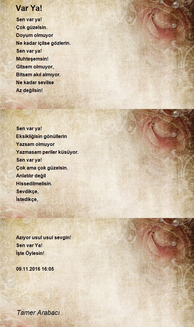 Tamer Arabacı