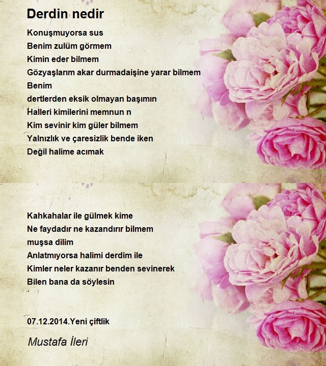 Mustafa İleri