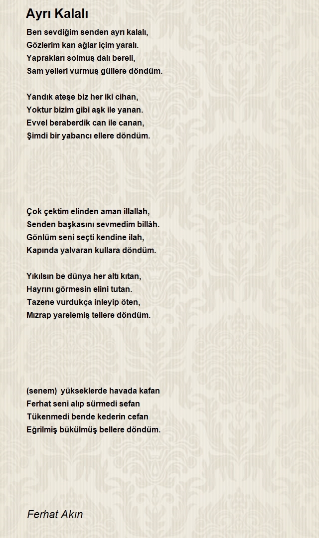 Ferhat Akın