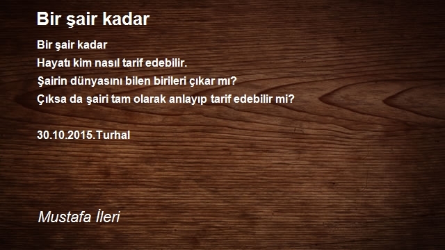 Mustafa İleri