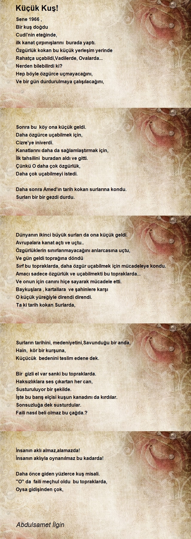 Abdulsamet İlgin
