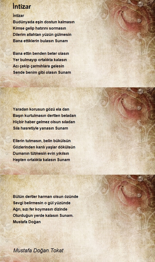 Mustafa Doğan Tokat