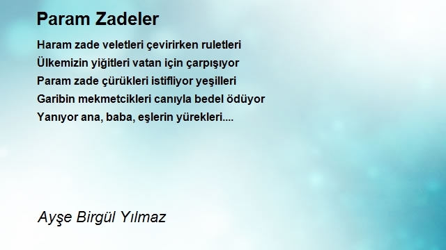 Ayşe Birgül Yılmaz