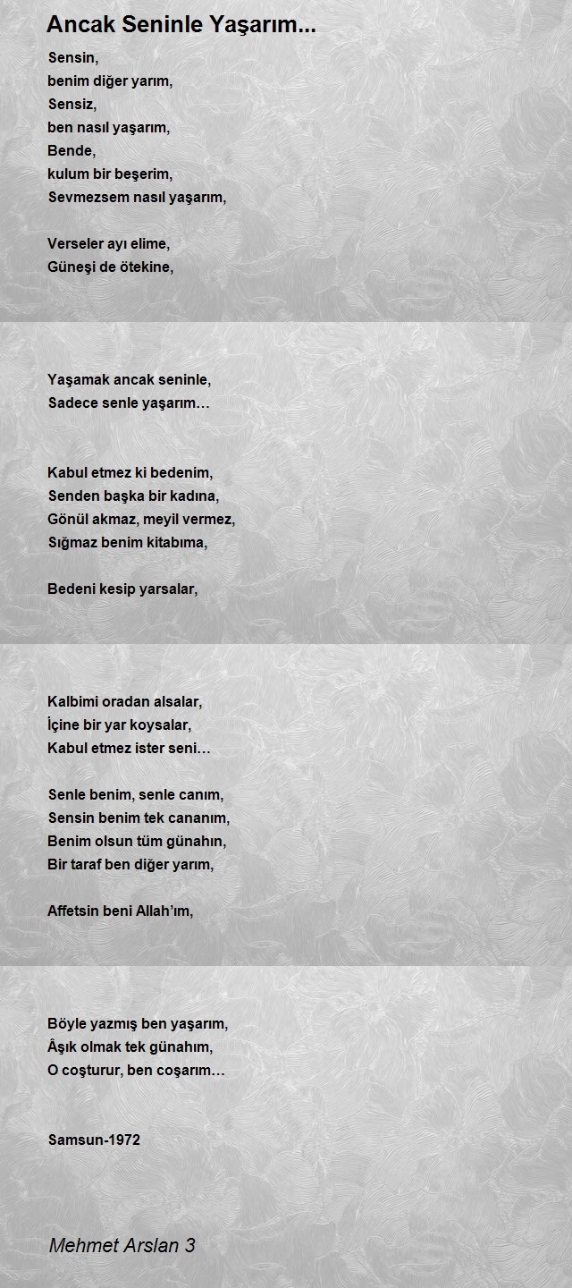 Mehmet Arslan 3