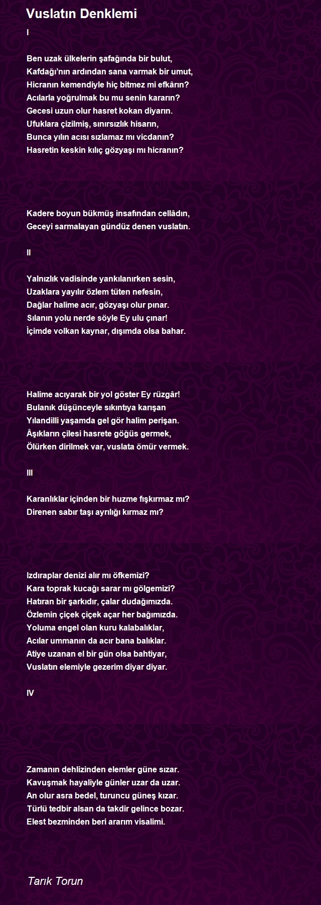 Tarık Torun