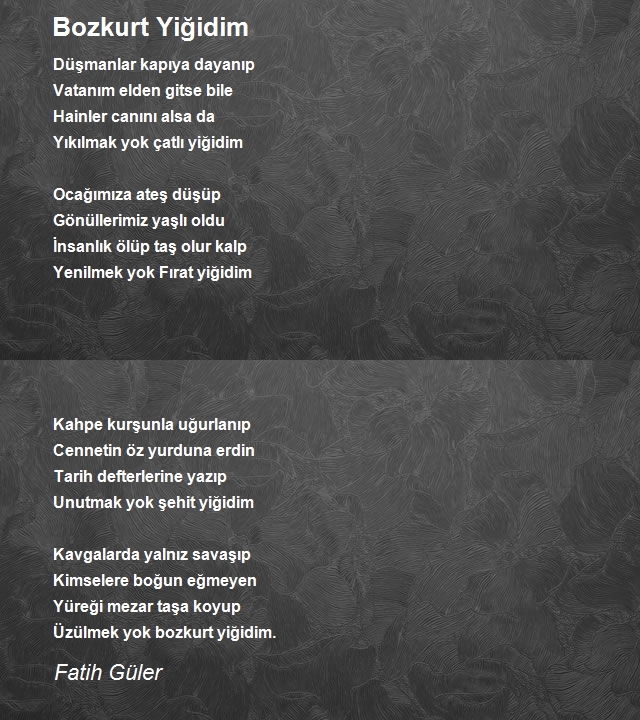 Fatih Güler