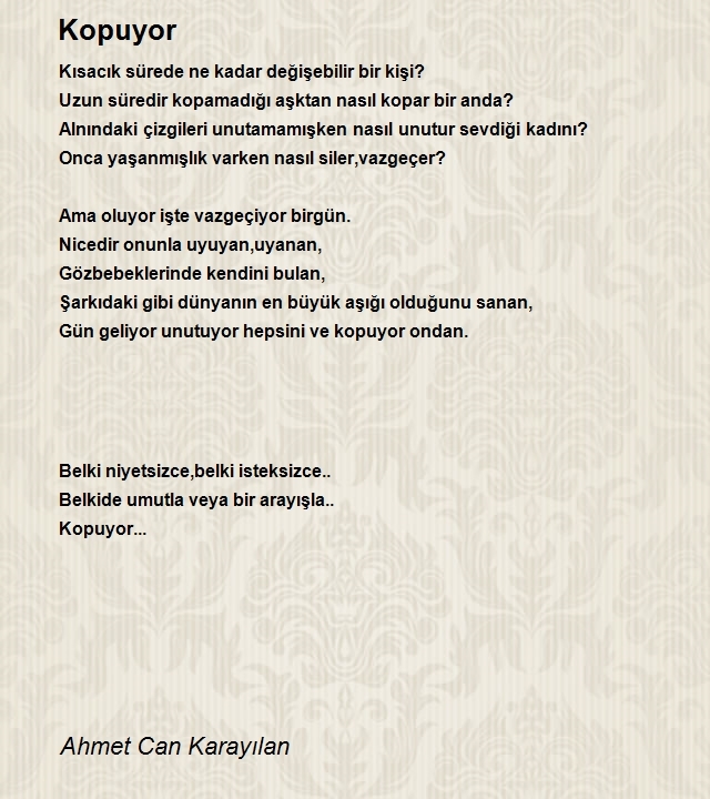 Ahmet Can Karayılan