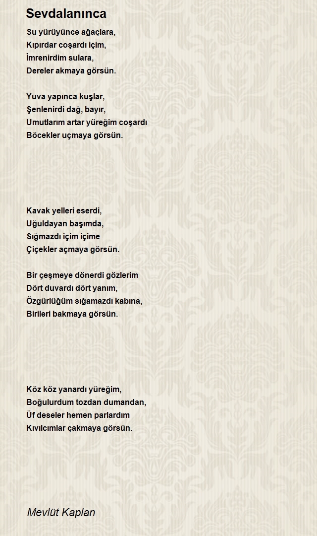Mevlüt Kaplan