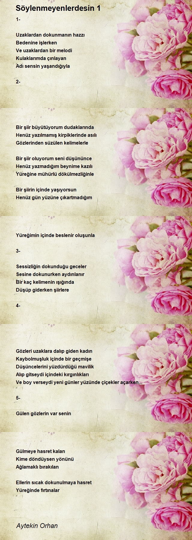 Aytekin Orhan