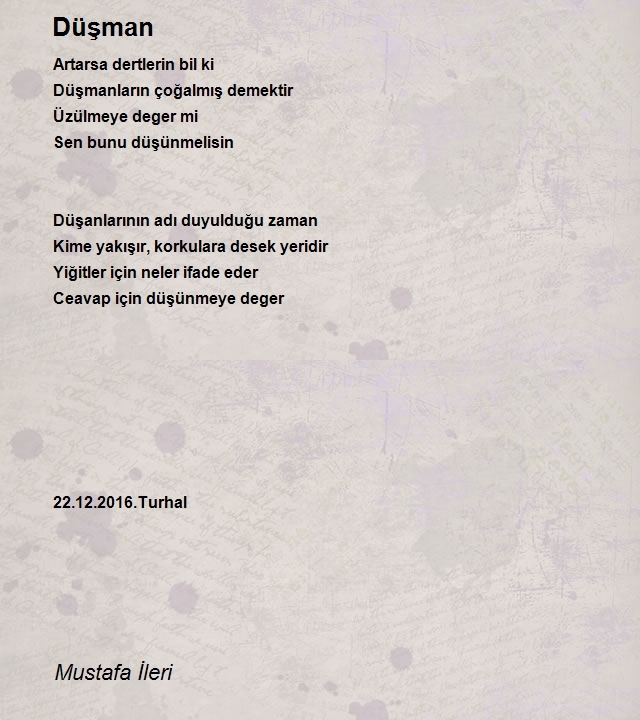 Mustafa İleri