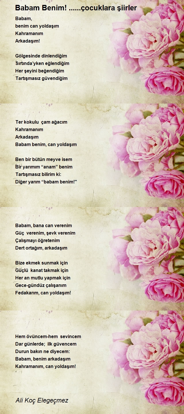 Ali Koç Elegeçmez