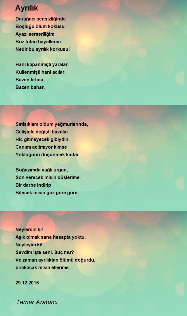 Tamer Arabacı