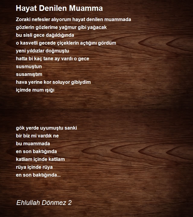 Ehlullah Dönmez 2