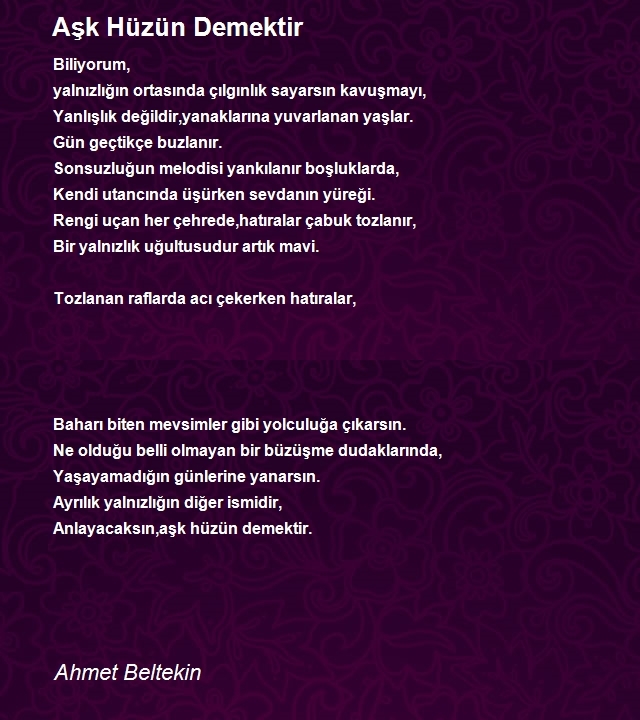 Ahmet Beltekin