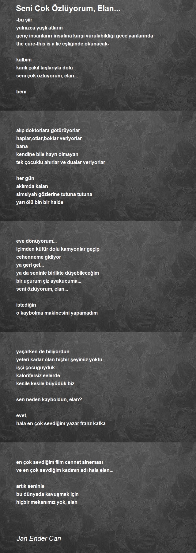 Jan Ender Can