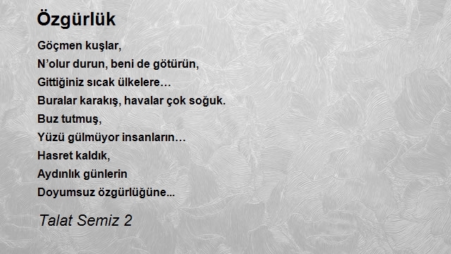 Talat Semiz 2