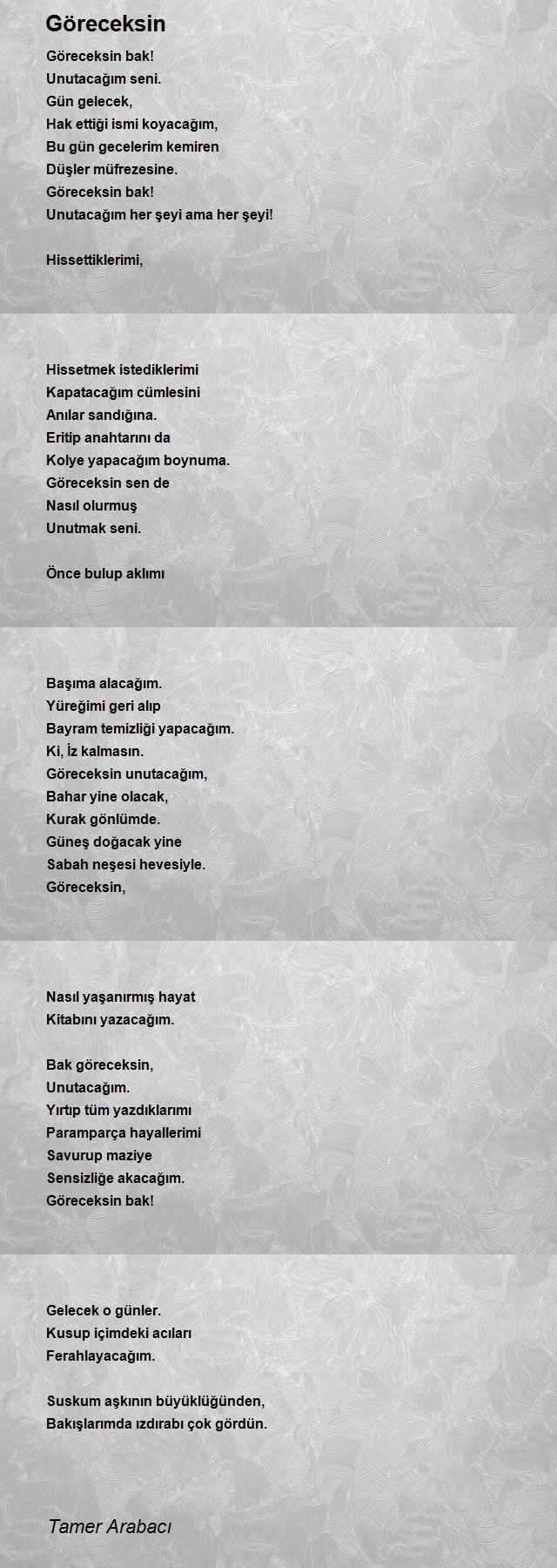 Tamer Arabacı