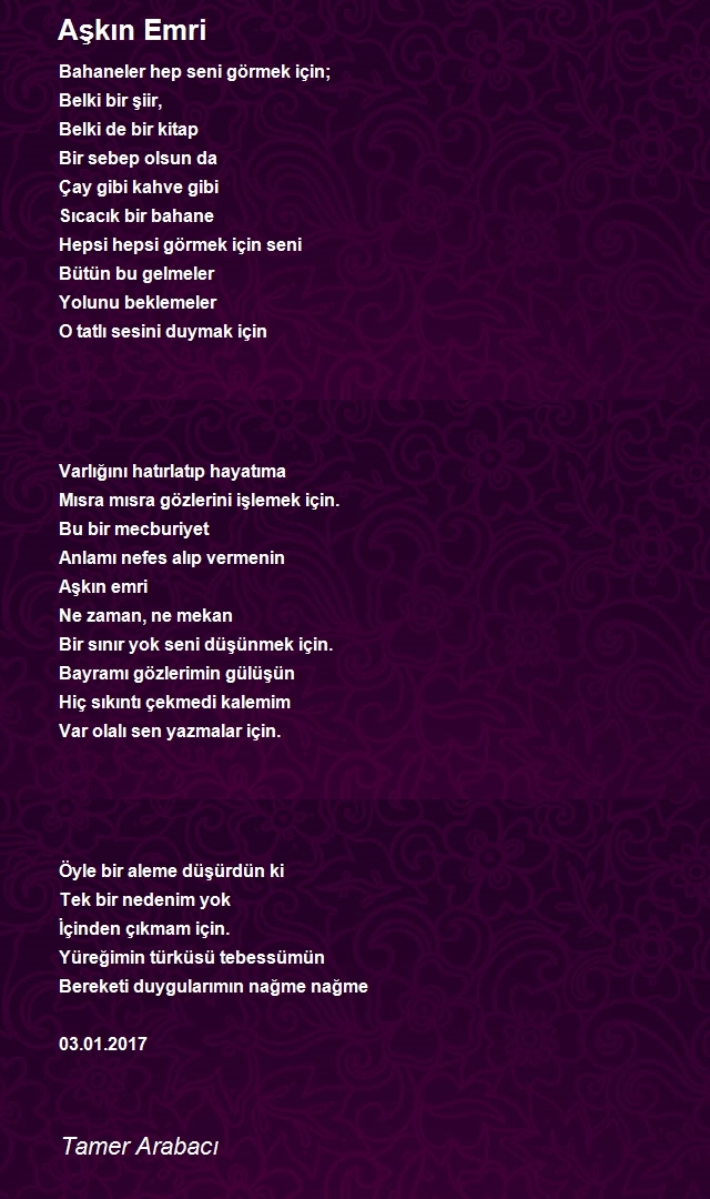 Tamer Arabacı