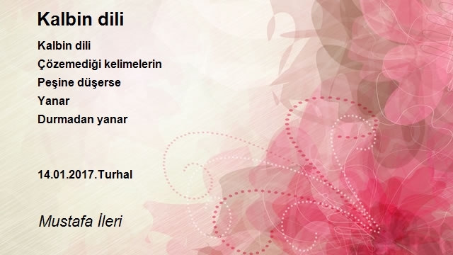 Mustafa İleri