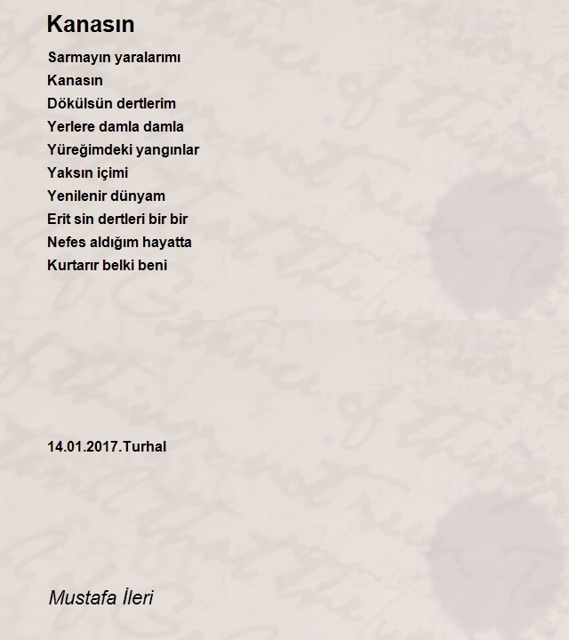 Mustafa İleri