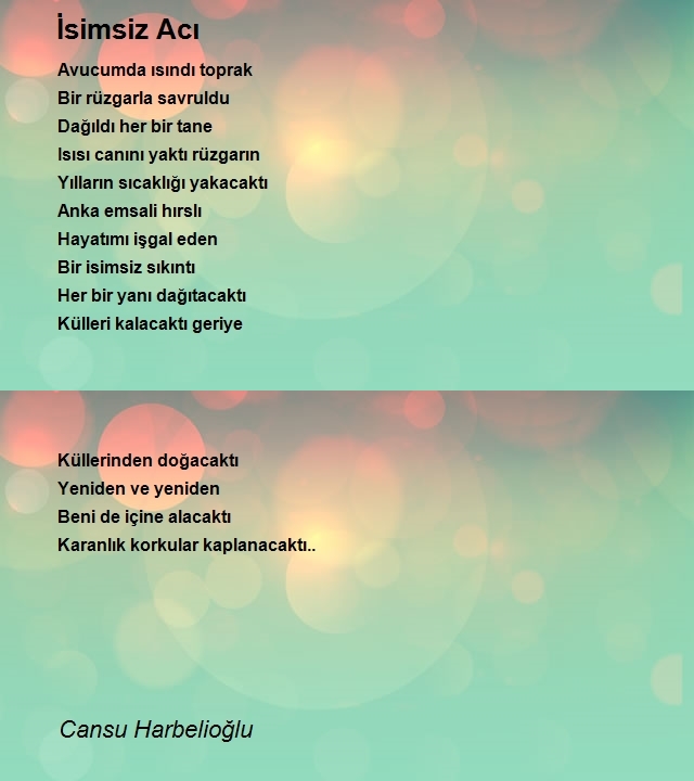 Cansu Harbelioğlu