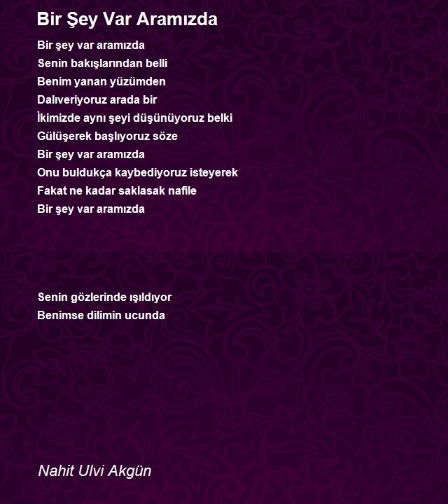 Nahit Ulvi Akgün