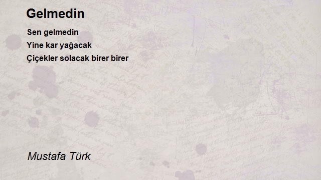Mustafa Türk