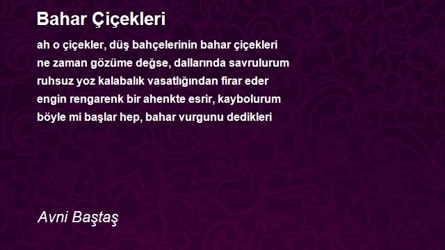Avni Baştaş