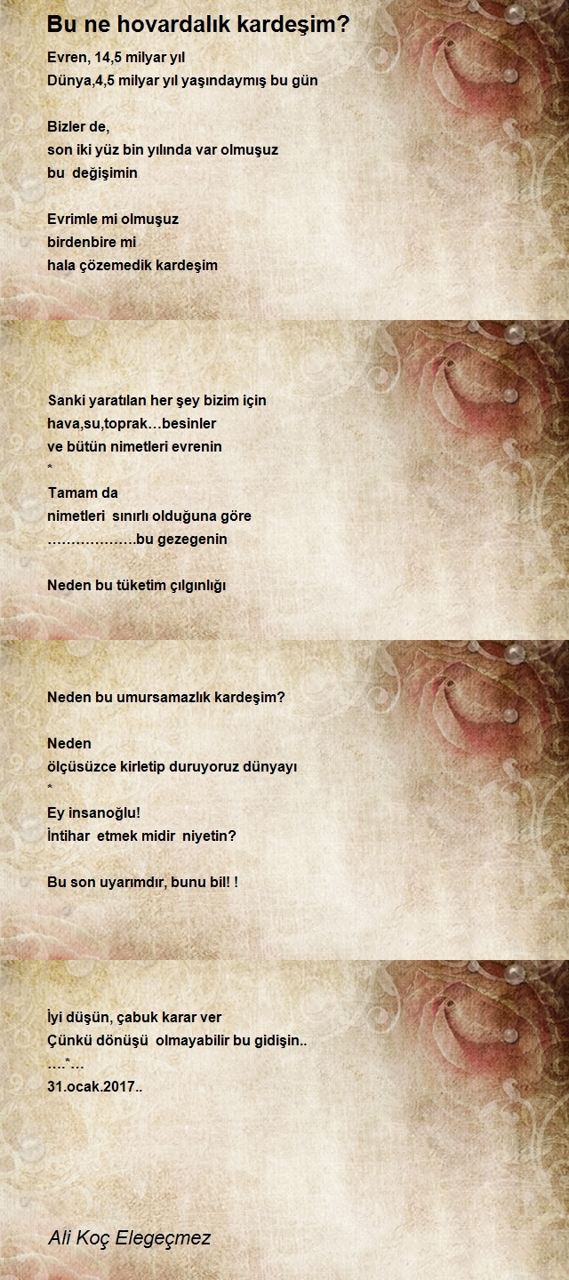 Ali Koç Elegeçmez