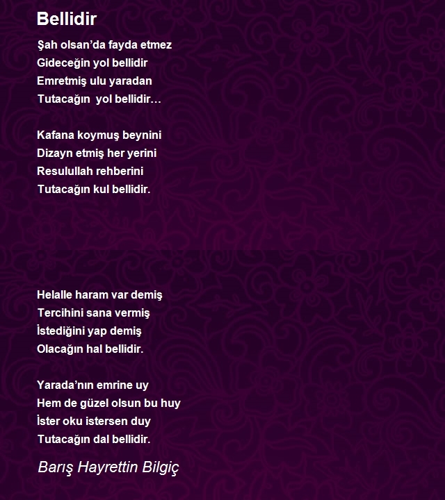 Barış Hayrettin Bilgiç