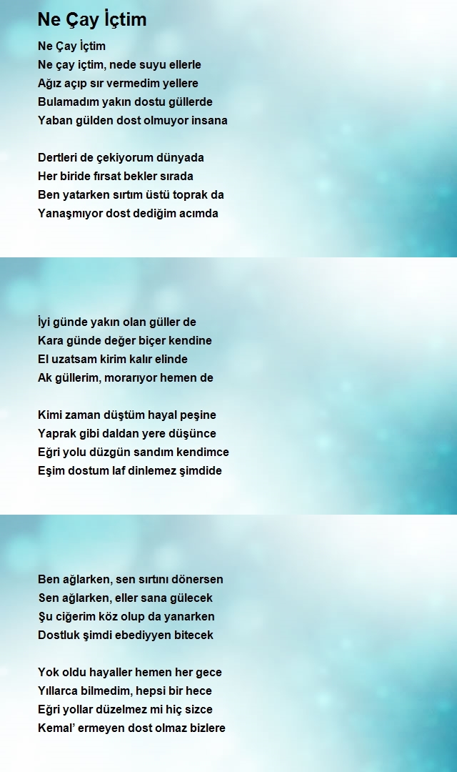Kemal Berk