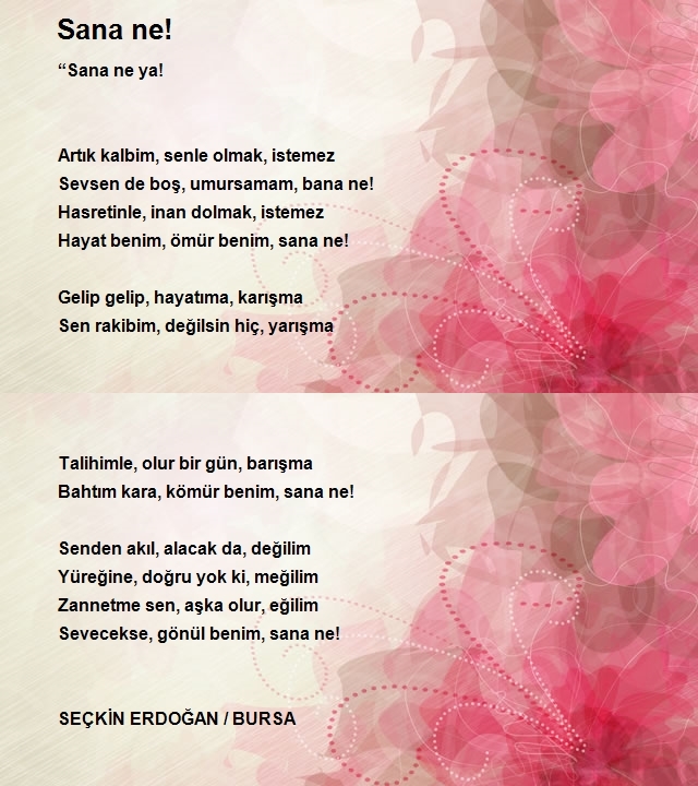 Seçkin Erdoğan