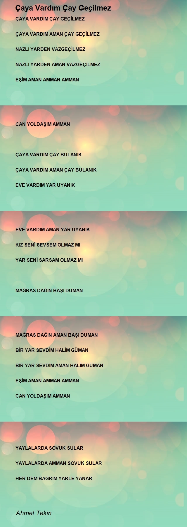 Ahmet Tekin
