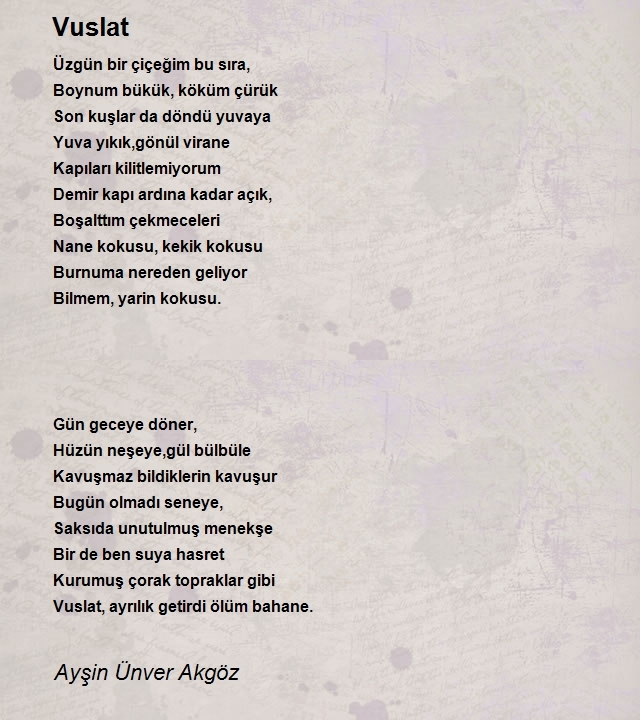 Ayşin Ünver Akgöz