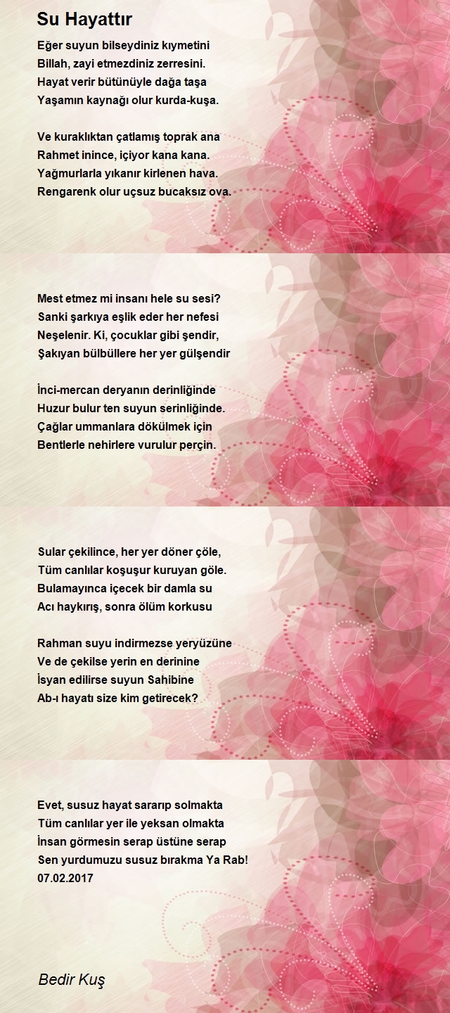 Bedir Kuş