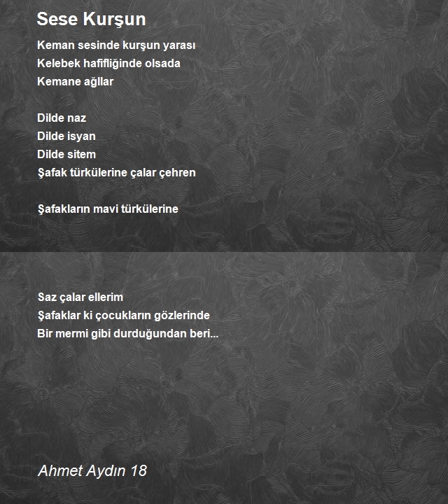 Ahmet Aydın 18