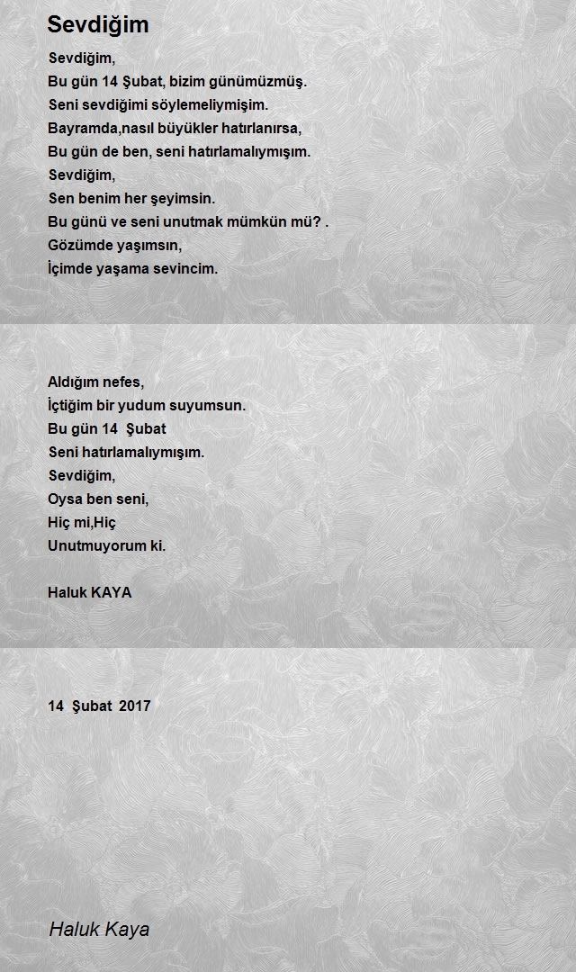Haluk Kaya